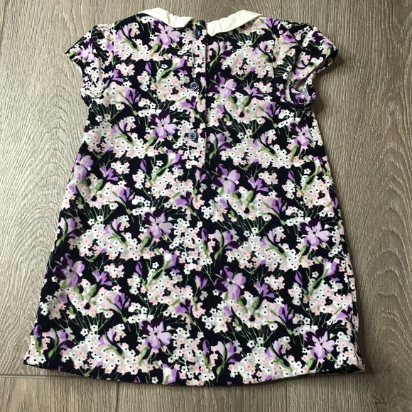 Janie & Jack Floral Short Sleeve Peter Pan Collar Velvet Dress Multi 18-24M - Picture 2 of 4